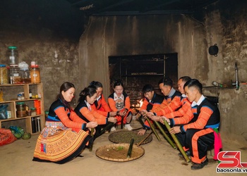 Trà lam Tà Xùa - Top 20 dự án xuất sắc Cuộc thi Khởi nghiệp Quốc gia năm 2025