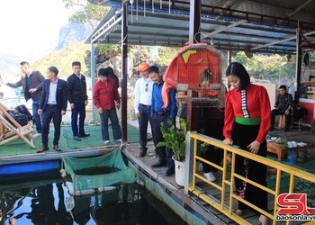 Mở rộng không gian phát triển kinh tế sau sáp nhập