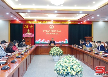 Tổng kết “Đề án thí điểm xây dựng vùng nguyên liệu nông, lâm sản đạt chuẩn phục vụ tiêu thụ trong nước và xuất khẩu"