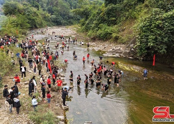 Đặc sắc cuộc thi hái rêu ở Chiềng Lao