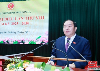 Nâng cao vị thế, vai trò của tổ chức Hội Cựu chiến binh tỉnh Sơn La trong hệ thống chính trị