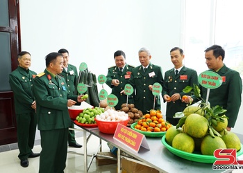 Trưng bày sản phẩm nông sản an toàn tiêu biểu của hội viên cựu chiến binh