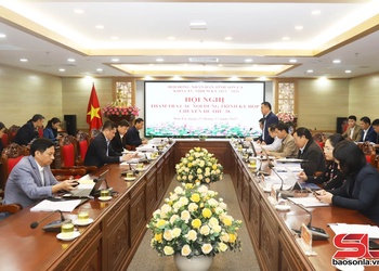 Ban Kinh tế - Ngân sách thẩm tra các nội dung trình Kỳ họp chuyên đề thứ 38 HĐND tỉnh khóa XV