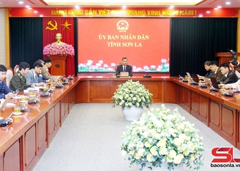 Góp ý, hoàn thiện các nghị định trong lĩnh vực nông, lâm nghiệp