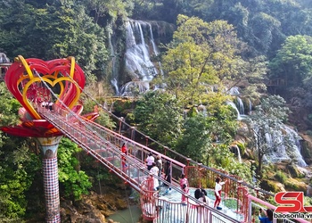 Khu du lịch Quốc gia Mộc Châu hút khách trong dịp đầu năm