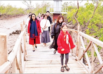 Khai thác tín chỉ carbon từ hệ sinh thái rừng ngập mặn