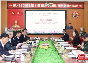 Hội nghị trực tuyến triển khai nhiệm vụ y tế năm 2026