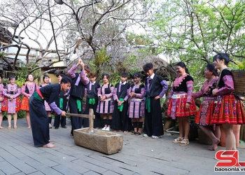 Về Vân Hồ du xuân