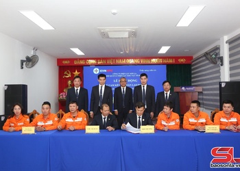 Công ty Điện lực Sơn La tổ chức ký cam kết an toàn lao động năm 2026