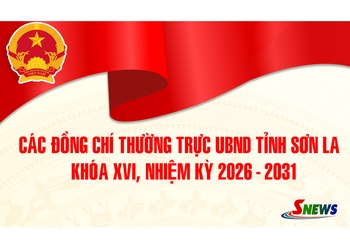 Các đồng chí Thường trực UBND tỉnh Sơn La khóa XVI, nhiệm kỳ 2026 - 2031