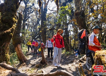 Khám phá đỉnh Phu Sa Phìn