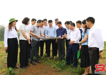 Đồng chí Chủ tịch UBND tỉnh làm việc với xã Tà Xùa, Xím Vàng