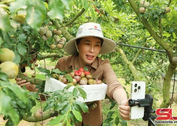 Thúc đẩy chuyển đổi số trong hợp tác xã nông nghiệp