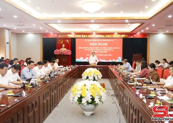 Định hướng phát triển cà phê Arabica Sơn La và chuẩn bị tổ chức Lễ hội Cà phê Sơn La lần thứ 2, năm 2026