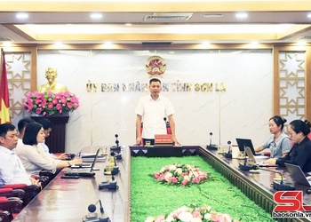 Tháo gỡ khó khăn trong cấp, quản lý mã số vùng trồng, cơ sở đóng gói phục vụ xuất khẩu