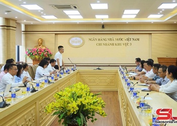 Ngân hàng Nhà nước Khu vực 3 làm việc với các phường trung tâm