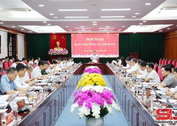 Kiên quyết xử lý các dự án chậm triển khai, vi phạm quy định pháp luật, sử dụng đất kém hiệu quả