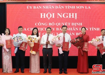 Công bố quyết định của Chủ tịch UBND tỉnh về công tác cán bộ