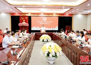 Xử lý dứt điểm dự án chậm tiến độ Tòa nhà Đông Dương Mộc Châu