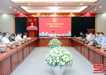 Triển khai, hướng dẫn thực hiện Nghị định số 164/2006/NĐ-CP