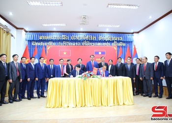 Đoàn đại biểu cấp cao tỉnh Sơn La thăm, làm việc với tỉnh Bò Kẹo