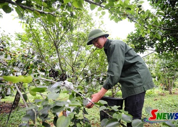 Lê Tai Nung Phiêng Khoài khẳng định thương hiệu trên thị trường