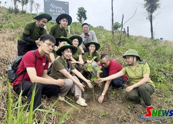 Xã Bình Thuận ra quân trồng 11 ha rừng phục hồi