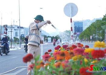 Thầm lặng làm đẹp phố phường