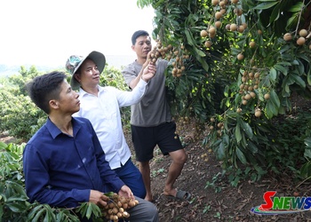 Điểm sáng "Chi bộ 4 tốt" bên dòng sông Mã