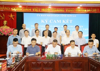 Cam kết trách nhiệm và đồng hành thực hiện các dự án đầu tư phát triển năng lượng tái tạo