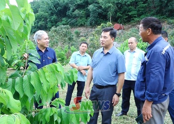 Tăng cường đối thoại, tháo gỡ vướng mắc từ cơ sở