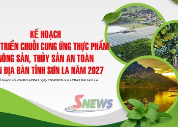  Kế hoạch phát triển chuỗi cung ứng thực phẩm nông sản, thủy sản an toàn trên địa bàn tỉnh Sơn La năm 2027