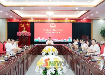 Bàn giải pháp giải quyết tình trạng thừa, thiếu giáo viên gắn với nâng cao chất lượng đào tạo sư phạm