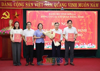 Công bố các quyết định về công tác cán bộ tại Đảng ủy Các cơ quan Đảng tỉnh