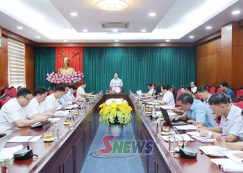 Tập trung xử lý, giải quyết các vụ việc, vụ án thuộc diện Ban Chỉ đạo theo dõi