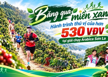  Băng qua miền xanh - Hành trình thú vị của hơn 530 VĐV tại giải chạy Arabica Sơn La