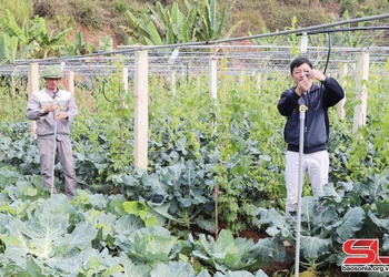 Nhiều hoạt động giúp hội viên phát triển sản xuất