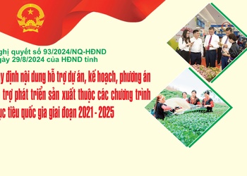 Quy định nội dung hỗ trợ dự án, kế hoạch, phương án hỗ trợ phát triển sản xuất thuộc các chương trình mục tiêu quốc gia giai đoạn 2021 - 2025