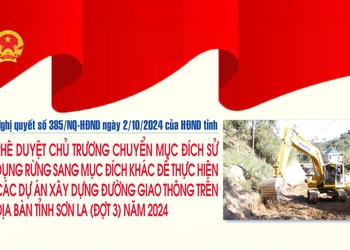 Phê duyệt chủ trương chuyển mục đích sử dụng rừng sang mục đích khác để thực hiện các dự án xây dựng đường giao thông trên địa bàn tỉnh Sơn La (đợt 3) năm 2024