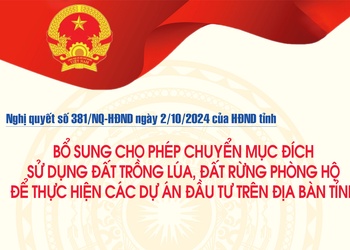 Bổ sung cho phép chuyển mục đích sử dụng đất trồng lúa, đất rừng phòng hộ để thực hiện các dự án đầu tư trên địa bàn tỉnh