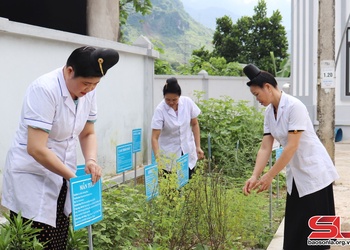 Duy trì vườn cây thuốc nam tại các trạm y tế