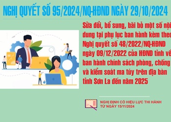 Sửa đổi, bổ sung, bãi bỏ một số nội dung tại phụ lục ban hành kèm theo Nghị quyết số 48