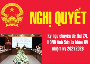 Bổ sung cho phép chuyển mục đích sử dụng đất để thực hiện các dự án đầu tư năm 2024 trên địa bàn tỉnh