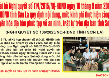 Nghị quyết số 106/2025/NQ-HĐND tỉnh