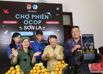 Đoàn thanh niên với mô hình “Ba liên kết”: Kỳ 2: Động lực khởi nghiệp, sáng tạo