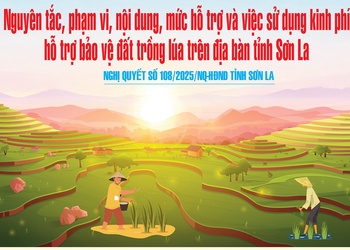 Nghị quyết số 108/2025/NQ-HĐND