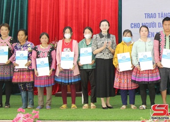 Mộc Châu phát triển người tham gia BHXH, BHYT