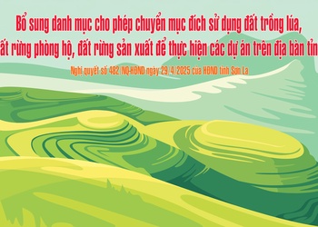 Bổ sung danh mục cho phép chuyển mục đích sử dụng đất trồng lúa, đất rừng phòng hộ, đất rừng sản xuất để thực hiện các dự án trên địa bàn tỉnh