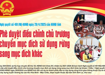 Phê duyệt điều chỉnh chủ trương chuyển mục đích sử dụng rừng sang mục đích khác