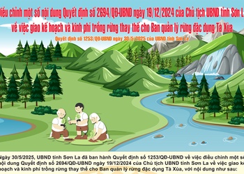 Quyết định số 1253/QĐ-UBND